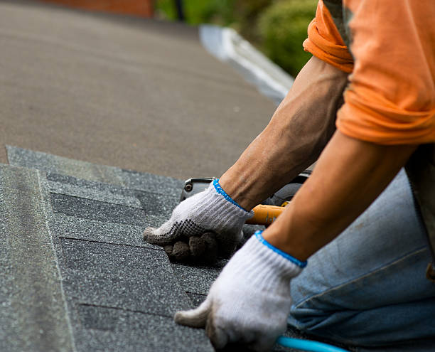 Best Commercial Roofing Services  in Agler Estates, FL